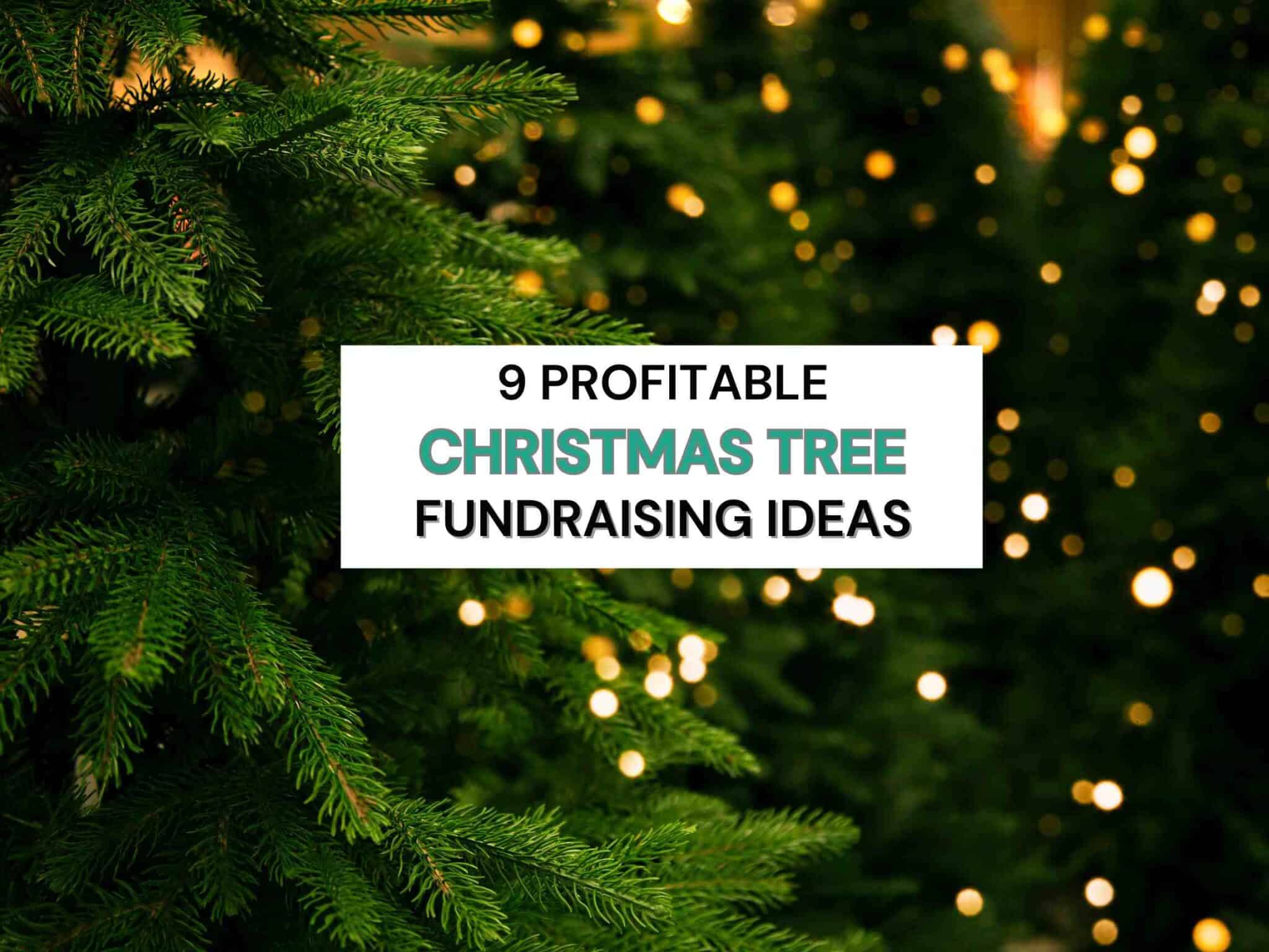 9 Profitable Christmas Tree Fundraising Ideas (+ Success Tips