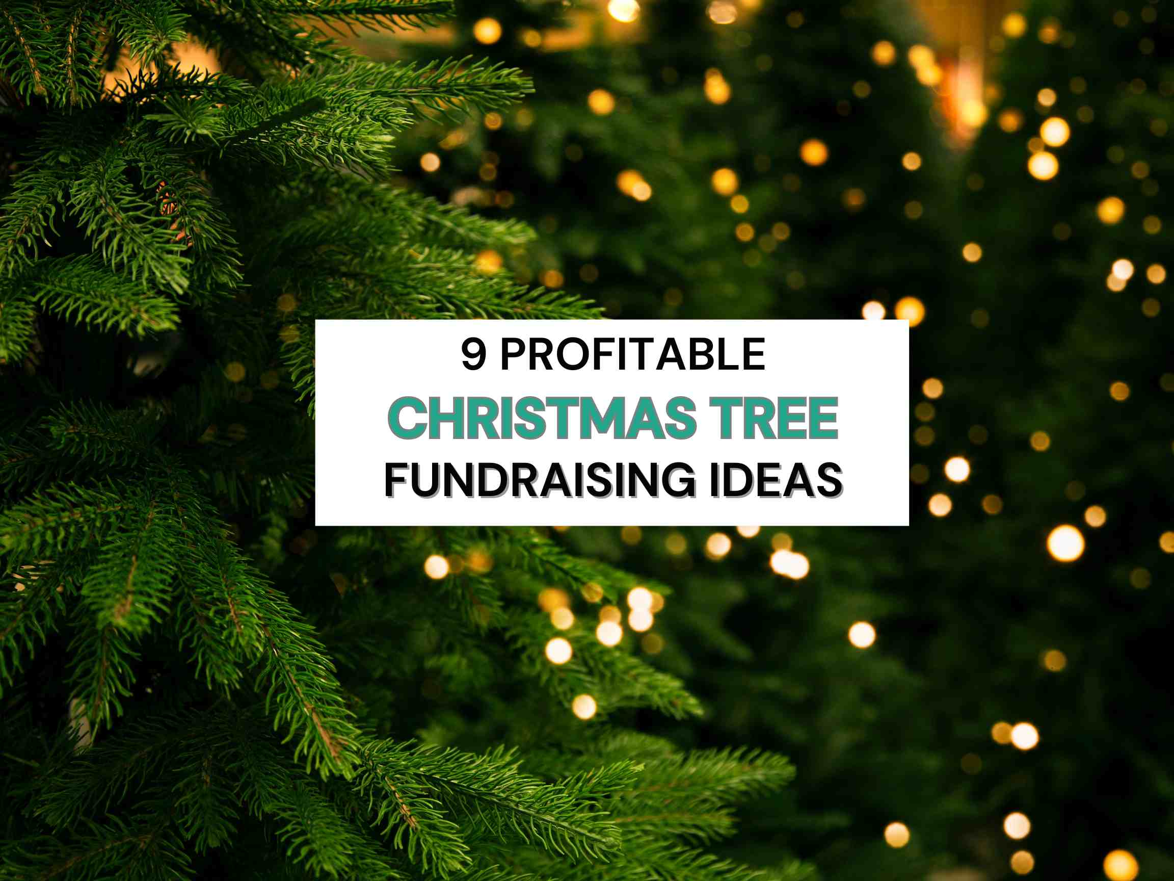 Christmas Tree Fundraising Ideas