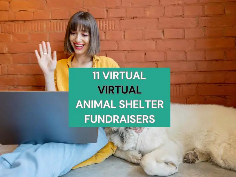 "A woman in a yellow shirt waves while using a laptop, with a large, fluffy white dog lying beside her against a brick wall. Overlay text reads '11 Virtual Animal Shelter Fundraisers.'"