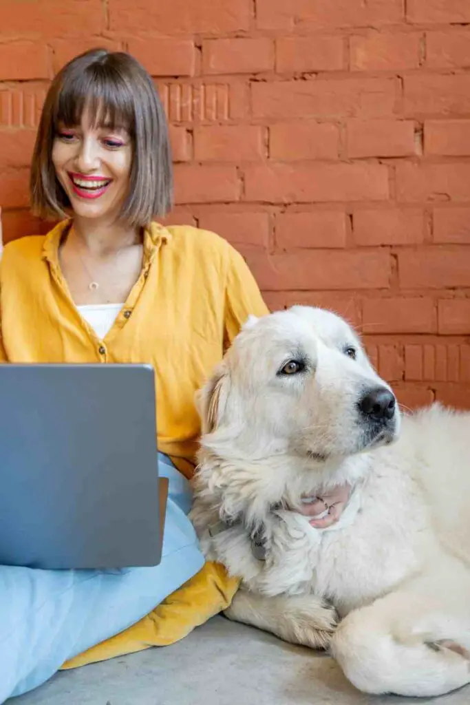 A woman in a yellow shirt smiling while using a laptop, sitting next to a large, fluffy white dog against a brick wall, suggesting a virtual pet storytelling session.