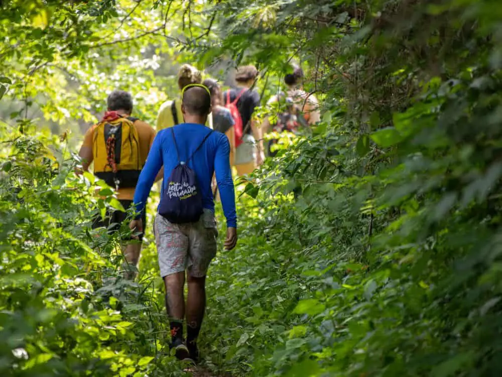 group trail during summer